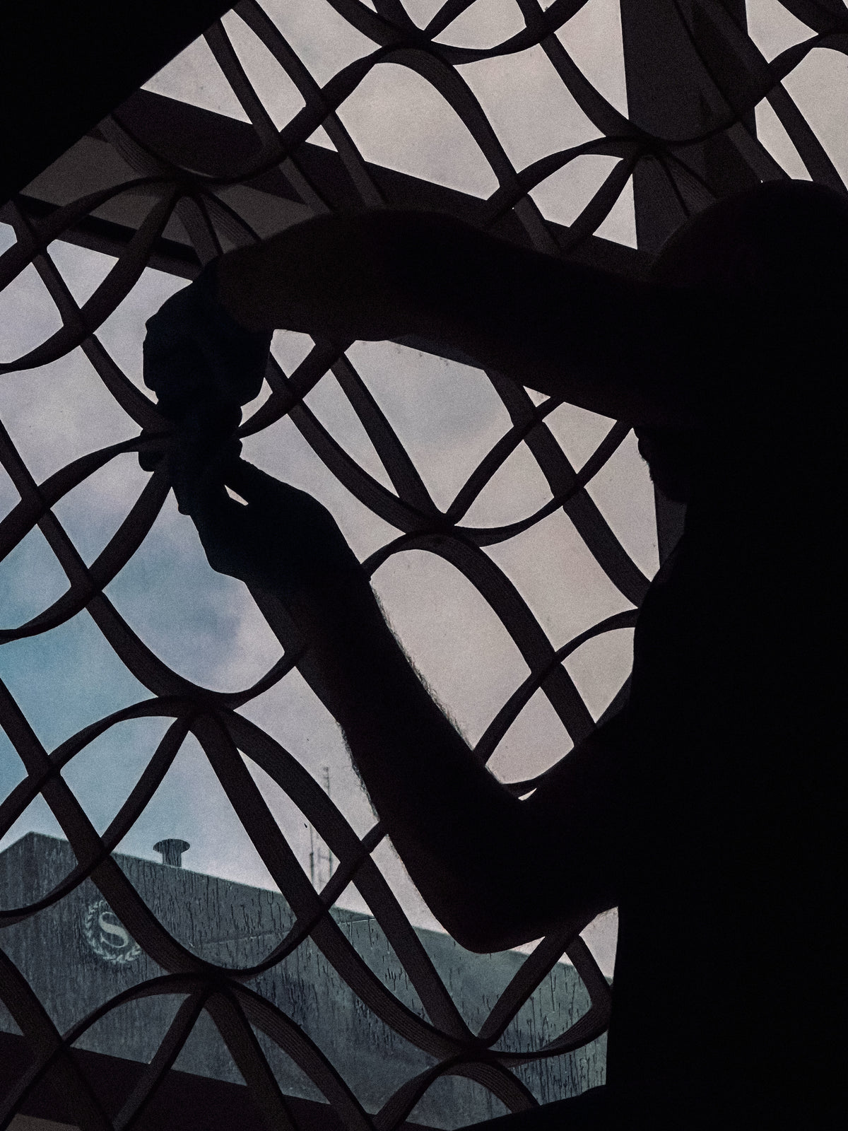 Installer silhouetted against the looping mesh pattern in a storefront window.